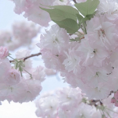 宝清FurryQQ群介绍